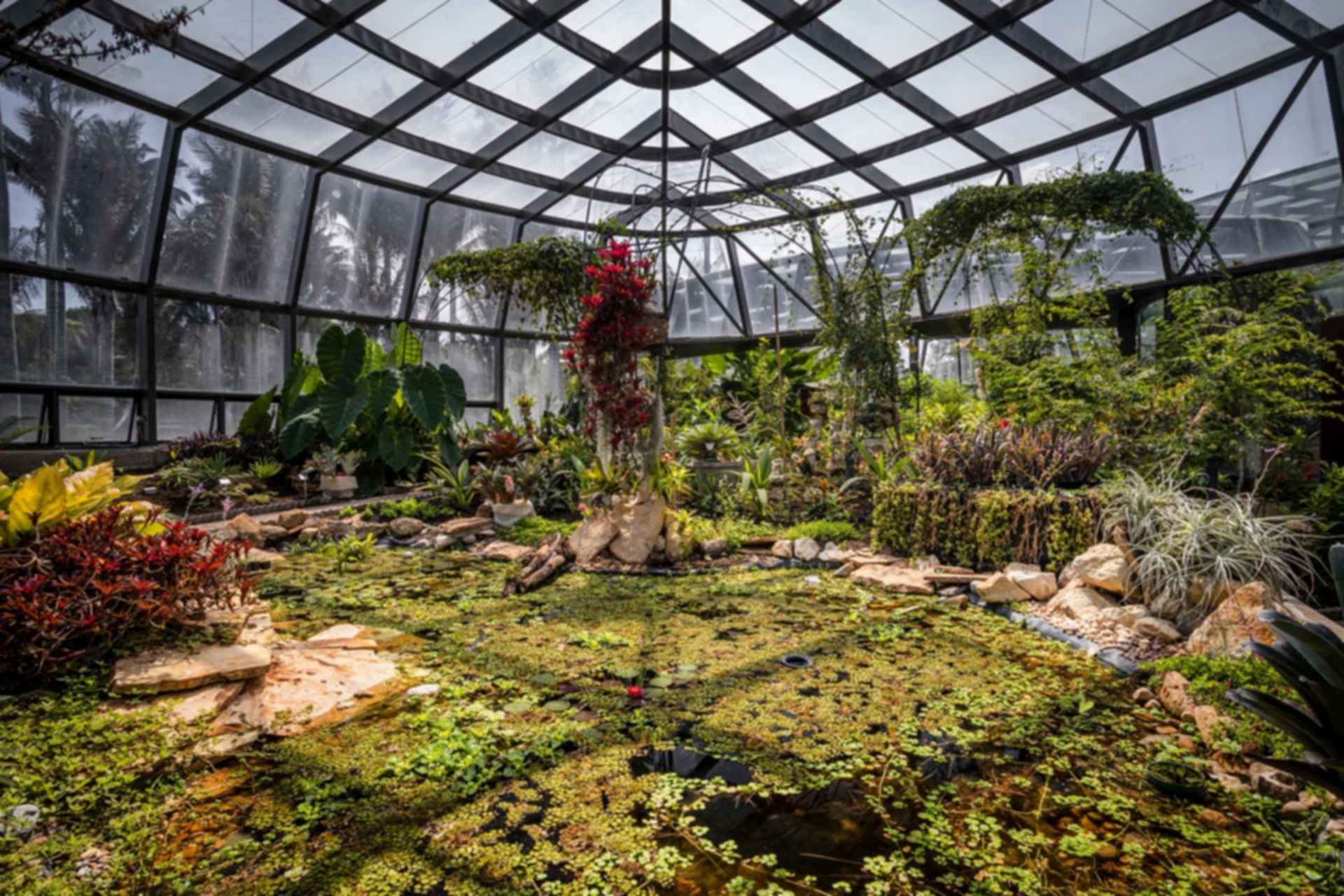 Tropicario Bogotá Botanic Garden - Greenhouse Tropicario Bogotá Botanic Garden - Greenhouse