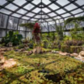 Tropicario Bogotá Botanic Garden - Greenhouse