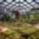Tropicario Bogotá Botanic Garden - Greenhouse