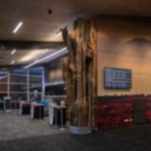 Taupo Airport Terminal - Check-In