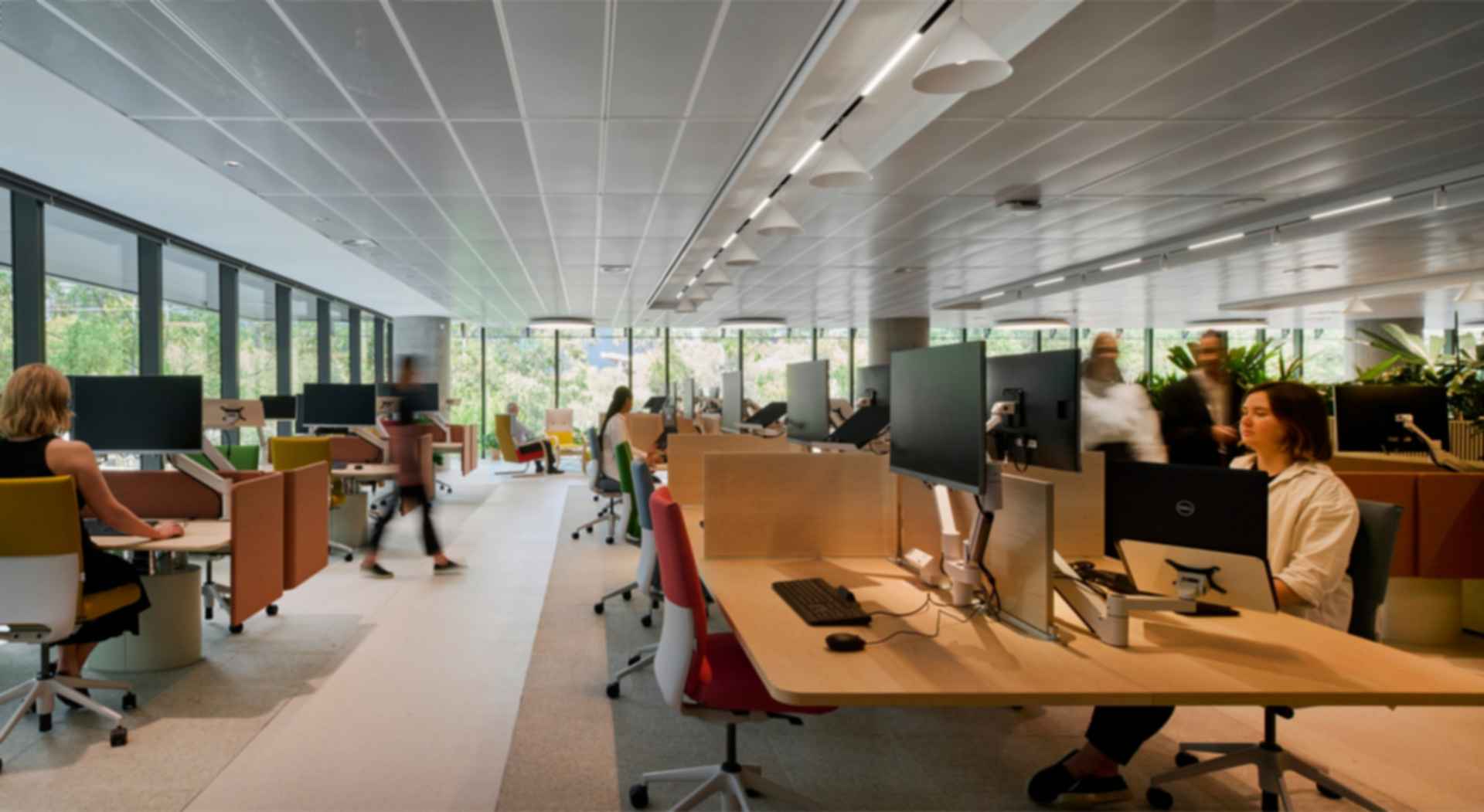 Darling Quarter South Building - Corner Office