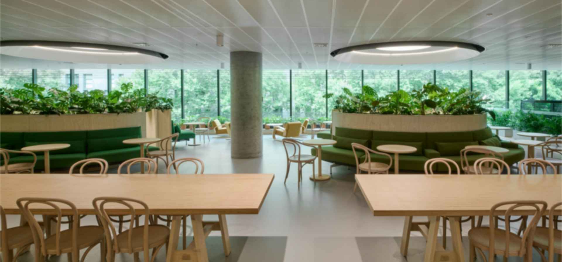 Darling Quarter South Building - Cafeteria Darling Quarter South Building - Cafeteria