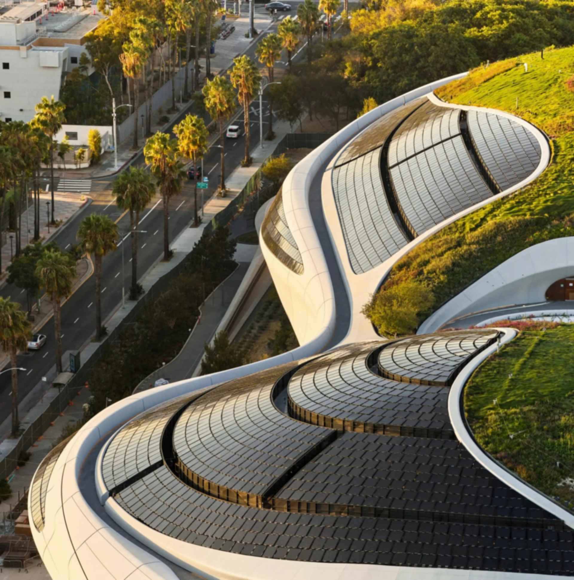 Lucas Museum of Narrative Art - Green Roof