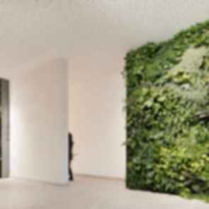 Westspitze - Green Wall