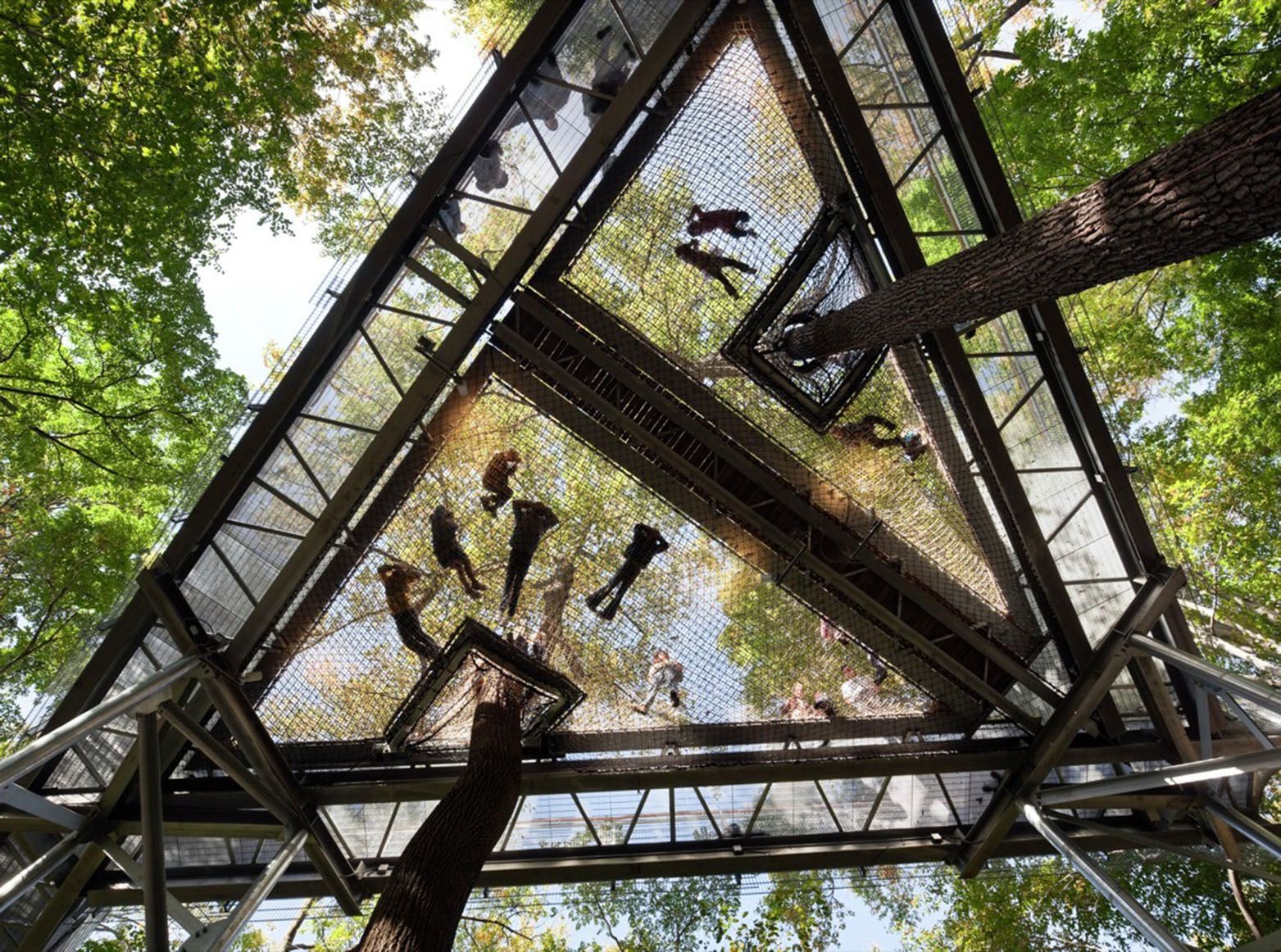 Morris Arboretum Tree Adventure - View from Below - modlar.com