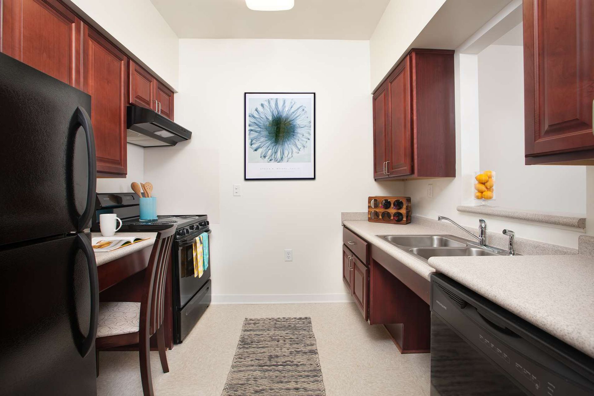 Net Zero Energy Apartment Rentals photo