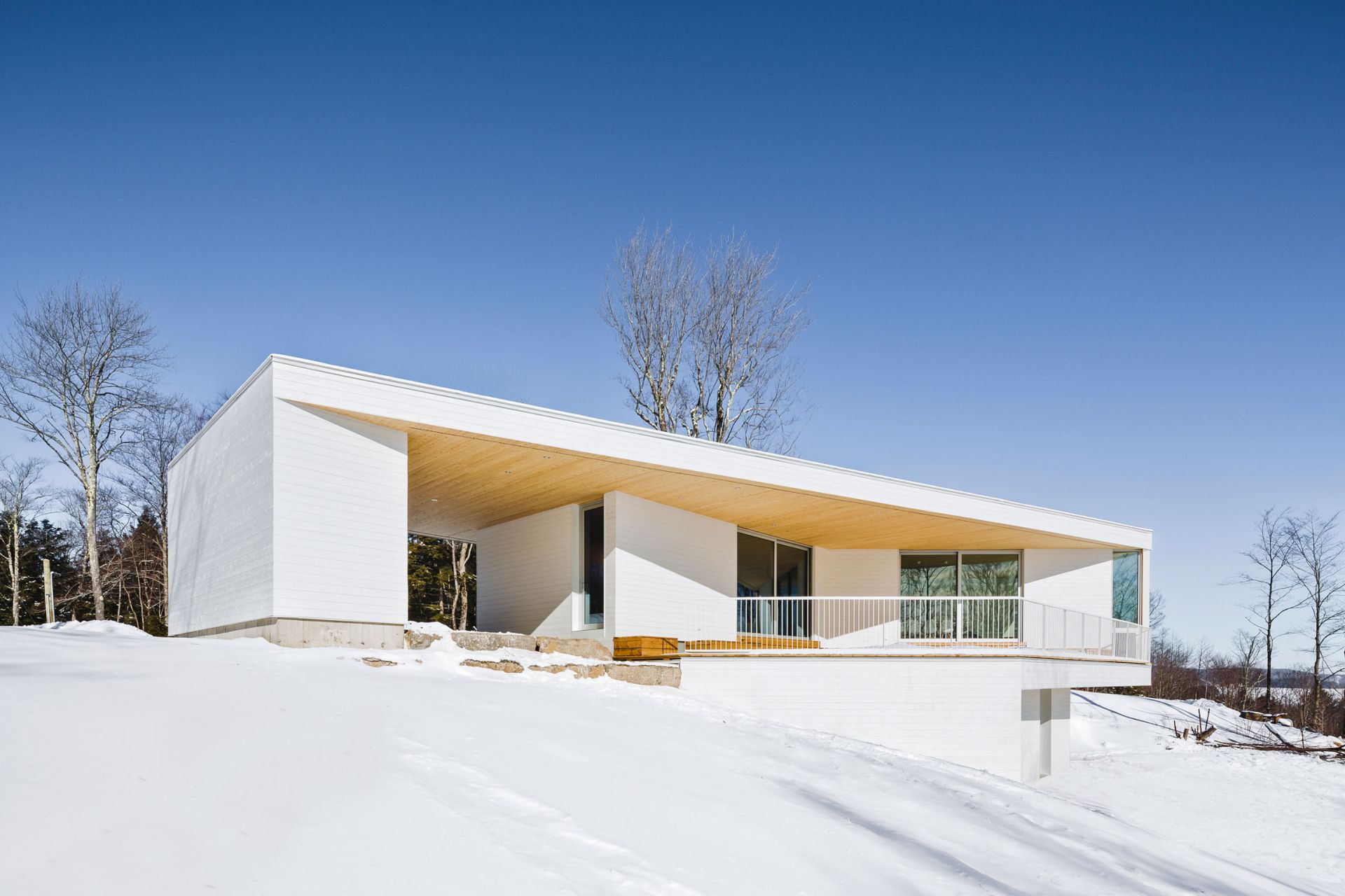 Image showcasing Minimalist White Homes - modlar.com