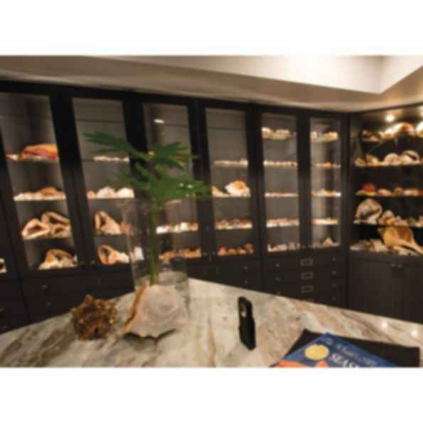 PrimaLine® 3 LED Tape Light