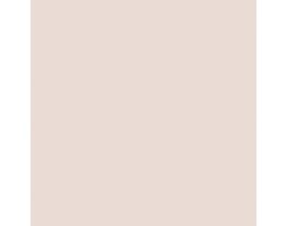 Bona Fide Beige SW6065 Paint by Sherwin-Williams - modlar.com
