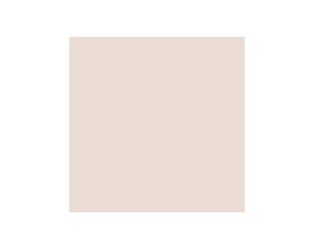 Bona Fide Beige SW6065 Paint by Sherwin-Williams - modlar.com