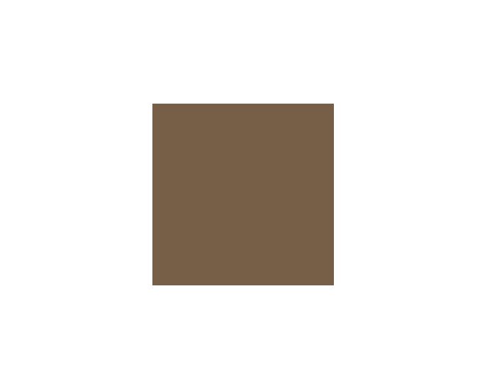 Sw7034 Status Bronze SW7034 Paint by Sherwin-Williams - modlar.com