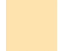 Afterglow SW6667 Paint by Sherwin-Williams - modlar.com