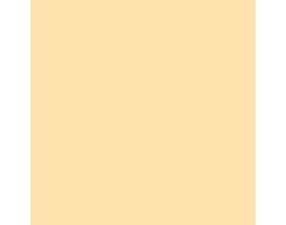 Afterglow SW6667 Paint by Sherwin-Williams - modlar.com