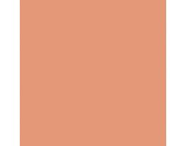 Baked Clay SW6340 Paint by Sherwin-Williams - modlar.com