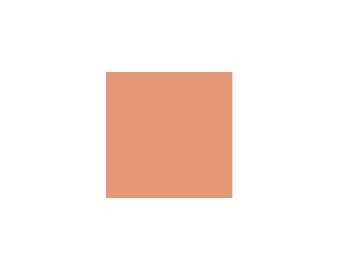 Baked Clay SW6340 Paint by SherwinWilliams