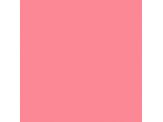 Begonia SW6599 Paint by Sherwin-Williams - modlar.com