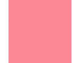 Begonia SW6599 Paint by Sherwin-Williams - modlar.com