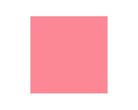 Begonia SW6599 Paint by Sherwin-Williams - modlar.com