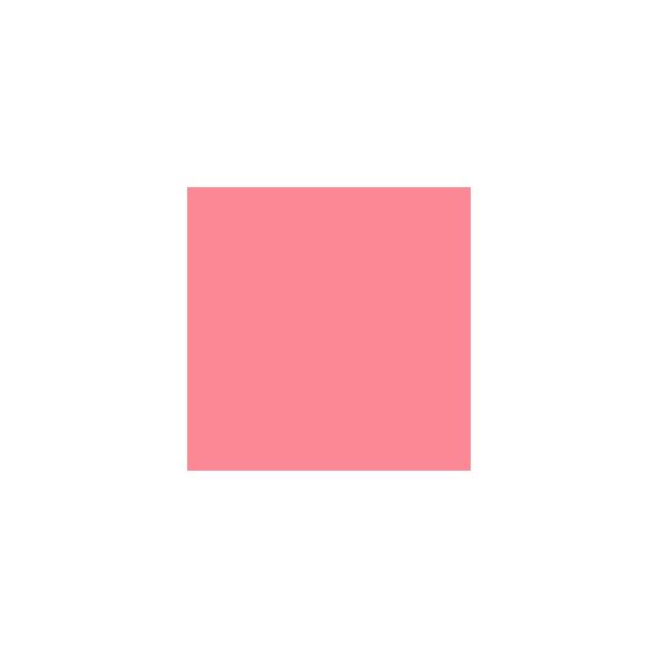 Begonia SW6599 Paint by Sherwin-Williams - modlar.com