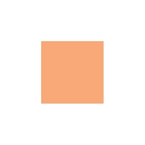 Copper Harbor SW6634 Paint by SherwinWilliams