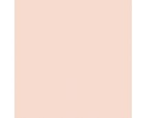 Pinky Beige SW0079 Paint by Sherwin-Williams - modlar.com