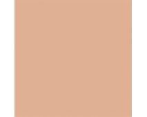 Portrait Tone SW0039 Paint by Sherwin-Williams - modlar.com