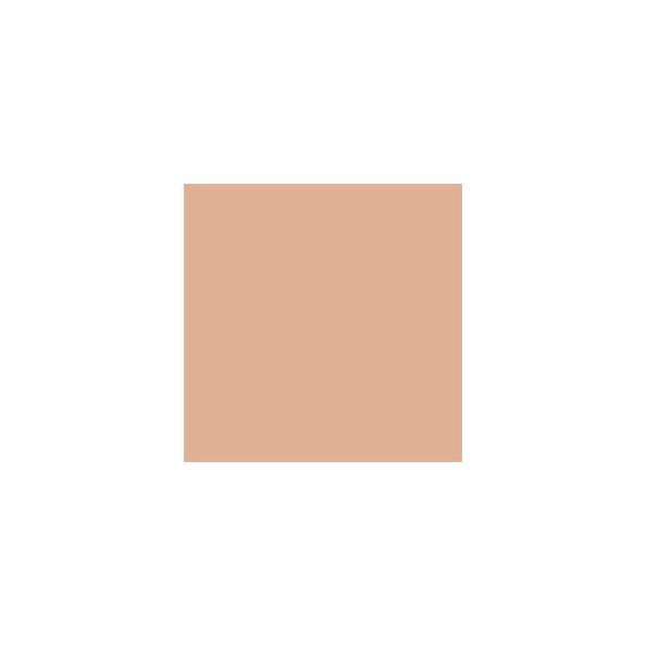 Portrait Tone SW0039 Paint by Sherwin-Williams - modlar.com