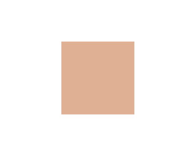 Portrait Tone SW0039 Paint by Sherwin-Williams - modlar.com