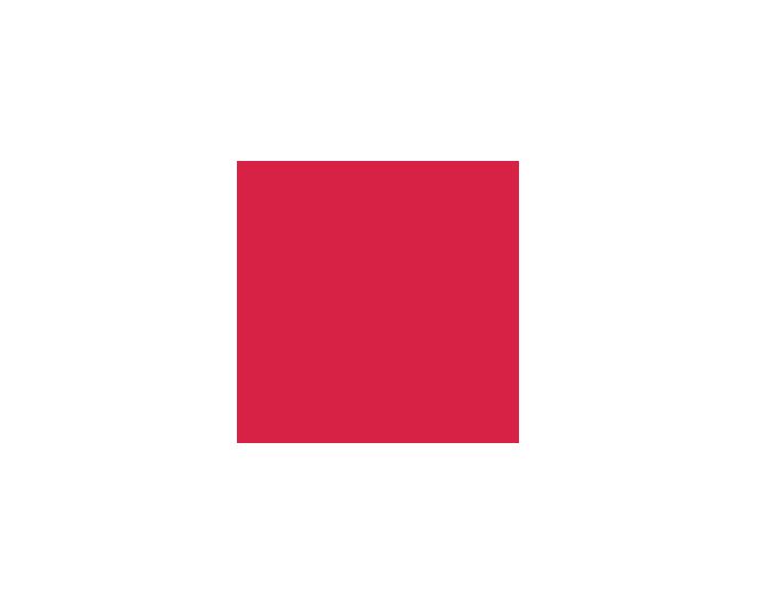 Positive Red SW6871 Paint by Sherwin-Williams - modlar.com