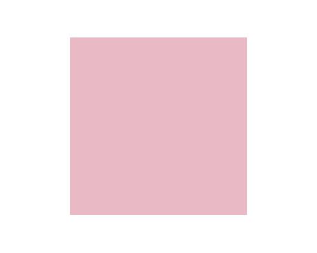 Rose embroidery sw6297 paint by sherwinwilliams  modlarcom