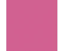 Ruby Shade SW6572 Paint by Sherwin-Williams - modlar.com
