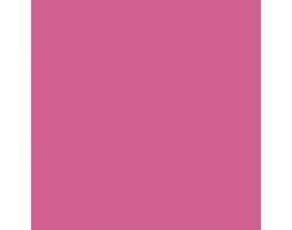 Ruby Shade SW6572 Paint by Sherwin-Williams - modlar.com