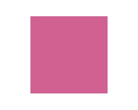 Ruby Shade SW6572 Paint by Sherwin-Williams - modlar.com