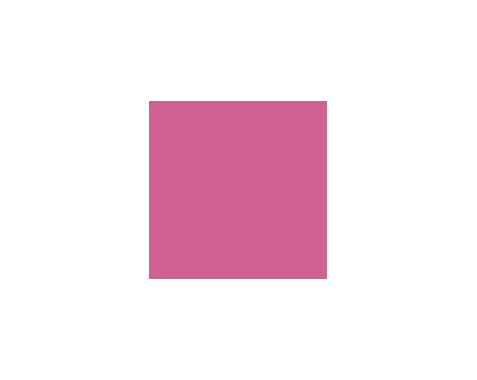Ruby Shade SW6572 Paint by Sherwin-Williams - modlar.com