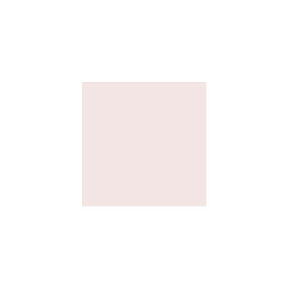 White Truffle SW6029 Paint by SherwinWilliams