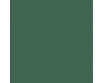 Dard Hunter Green SW0041 Paint by Sherwin-Williams - modlar.com