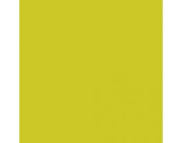 High Strung SW6705 Paint by Sherwin-Williams - modlar.com