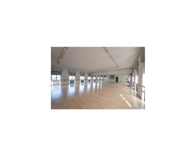 Harlequin Fiesta™ Vinyl Dance & Performance Floor