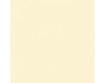 Lantern Light SW6687 Paint by Sherwin-Williams - modlar.com