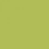 Luau Green SW6712 Paint by Sherwin-Williams - modlar.com