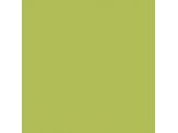 Luau Green SW6712 Paint by Sherwin-Williams - modlar.com