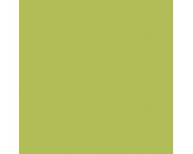 Luau Green SW6712 Paint by Sherwin-Williams - modlar.com