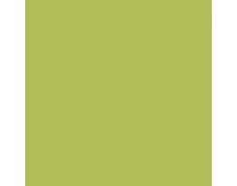 Luau Green SW6712 Paint by Sherwin-Williams - modlar.com