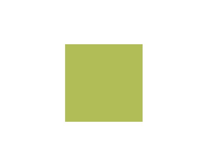 Luau Green SW6712 Paint by Sherwin-Williams - modlar.com