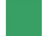 Lucky Green SW6926 Paint by Sherwin-Williams - modlar.com
