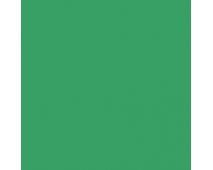 Lucky Green SW6926 Paint by Sherwin-Williams - modlar.com