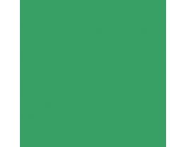 Lucky Green SW6926 Paint by Sherwin-Williams - modlar.com