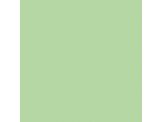 Mesclun Green SW6724 Paint by Sherwin-Williams - modlar.com