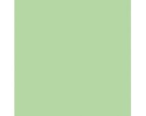 Mesclun Green SW6724 Paint by Sherwin-Williams - modlar.com