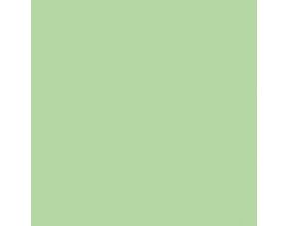 Mesclun Green SW6724 Paint by Sherwin-Williams - modlar.com